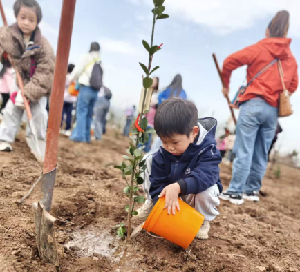 栽种公益树，收获慈善花｜陕西宏府慈善基金会携手育为教育，共赴